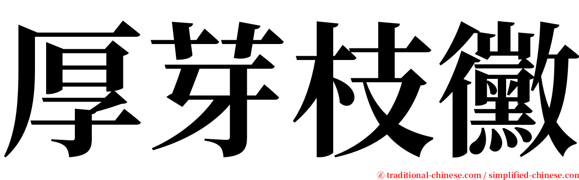 厚芽枝黴 serif font