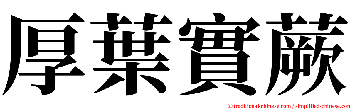 厚葉實蕨 serif font