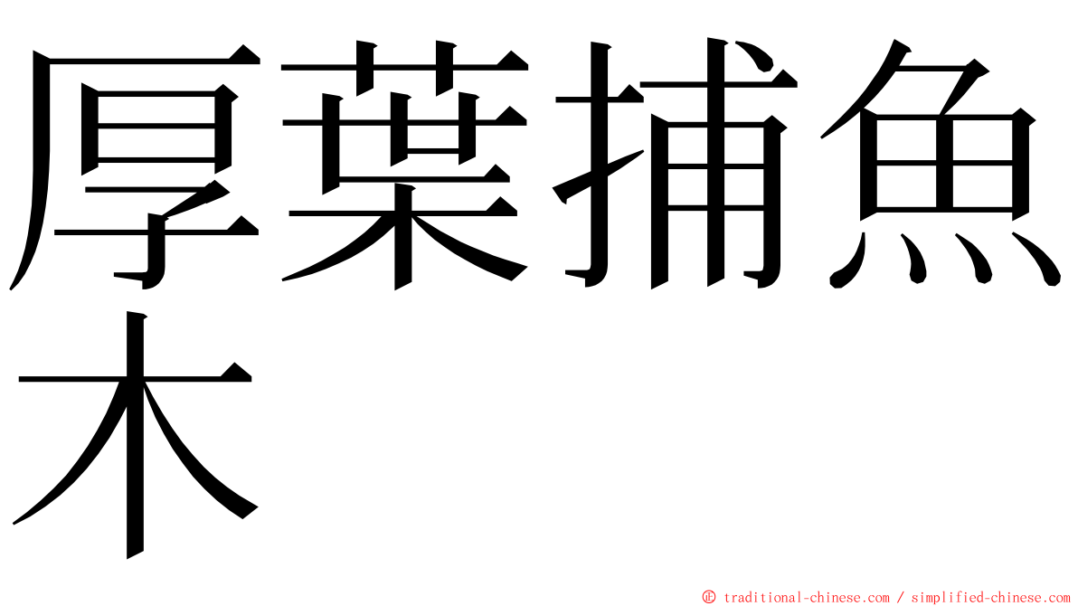 厚葉捕魚木 ming font