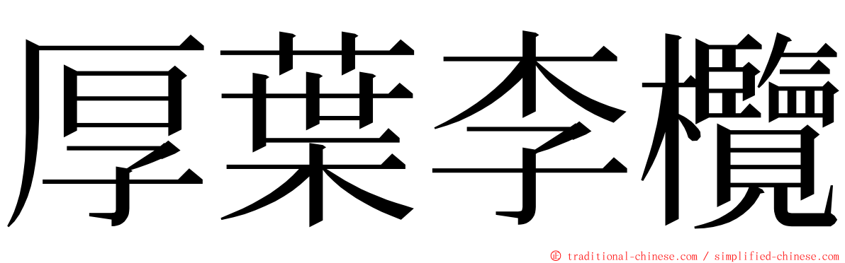 厚葉李欖 ming font