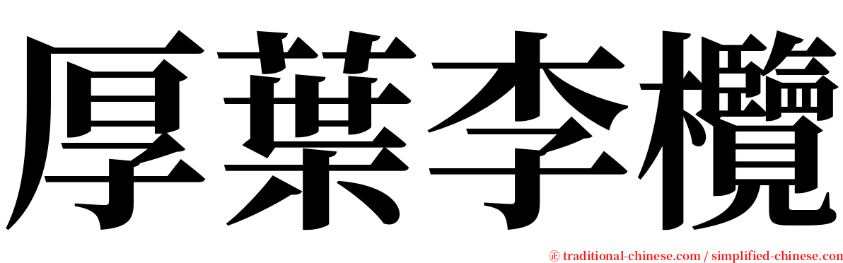 厚葉李欖 serif font