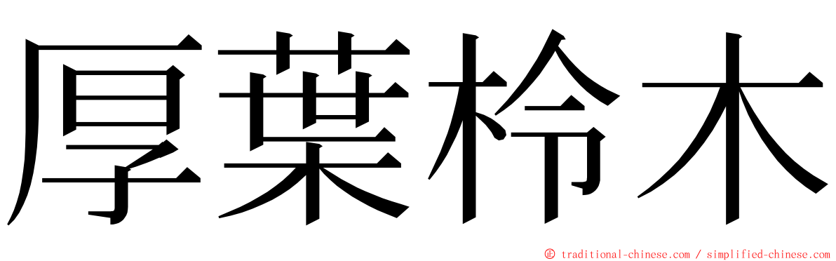 厚葉柃木 ming font