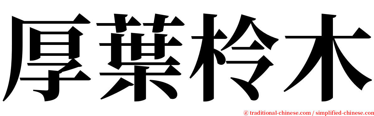 厚葉柃木 serif font