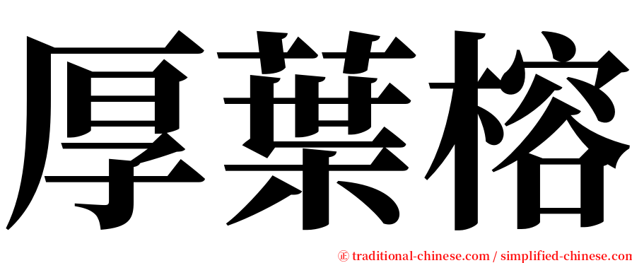 厚葉榕 serif font