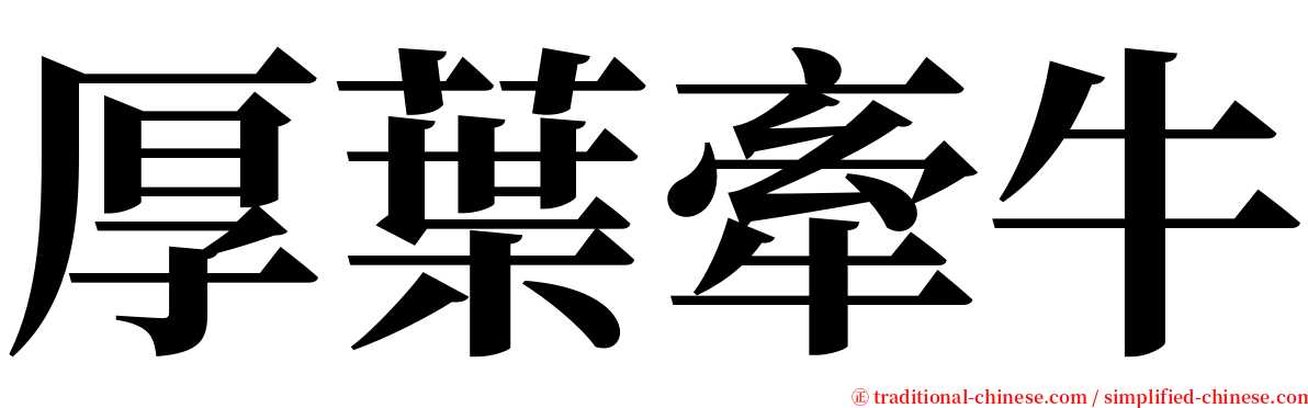 厚葉牽牛 serif font