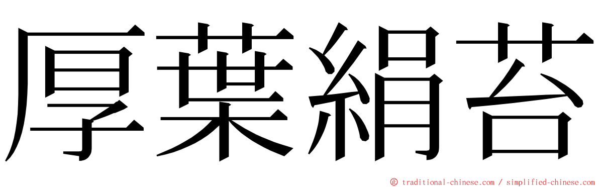 厚葉絹苔 ming font