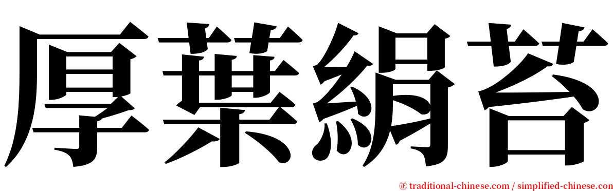 厚葉絹苔 serif font