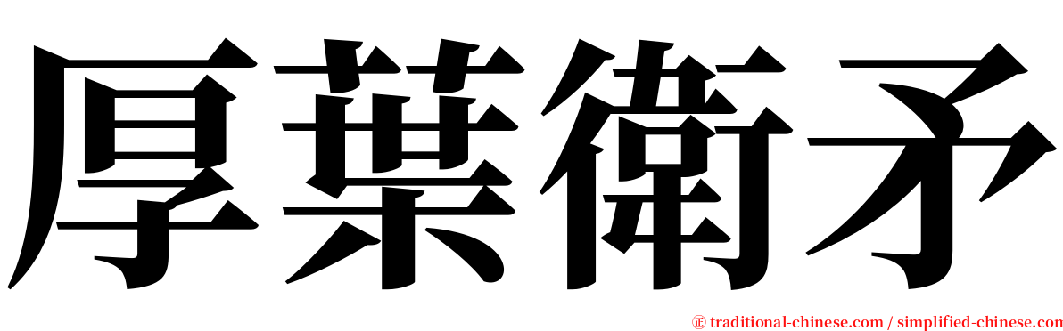 厚葉衛矛 serif font