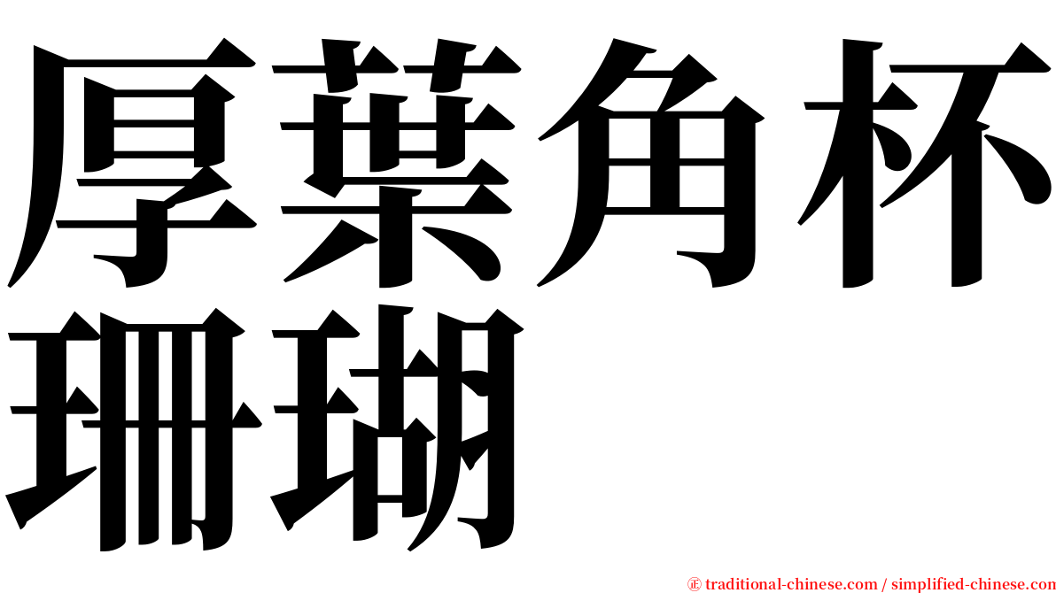 厚葉角杯珊瑚 serif font