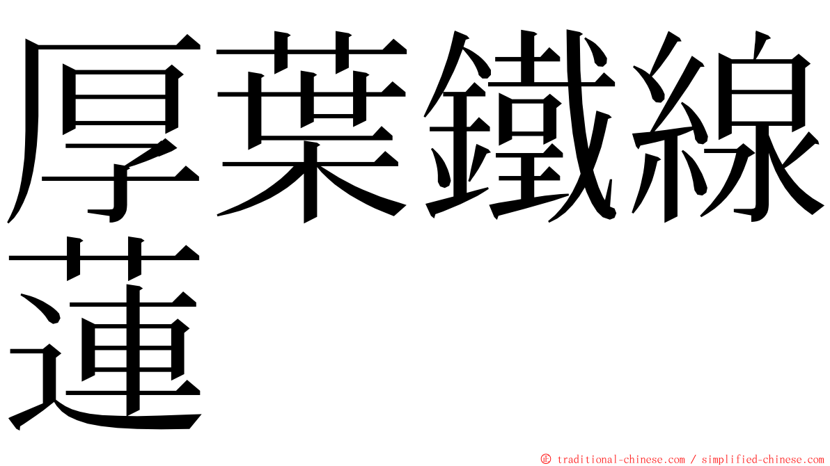 厚葉鐵線蓮 ming font