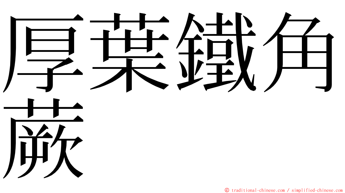 厚葉鐵角蕨 ming font