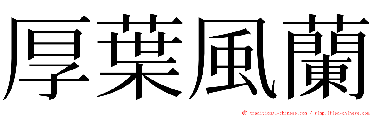 厚葉風蘭 ming font