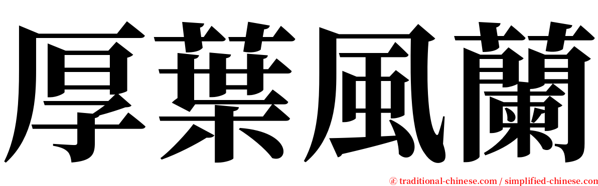 厚葉風蘭 serif font