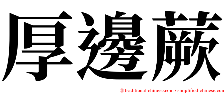 厚邊蕨 serif font