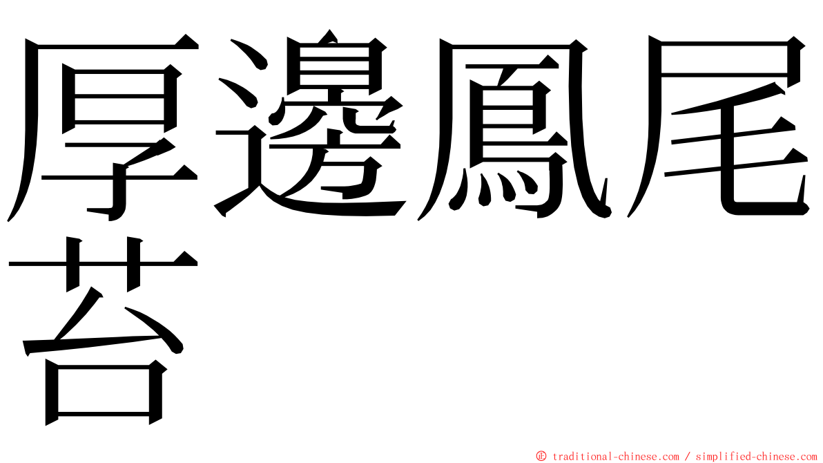 厚邊鳳尾苔 ming font