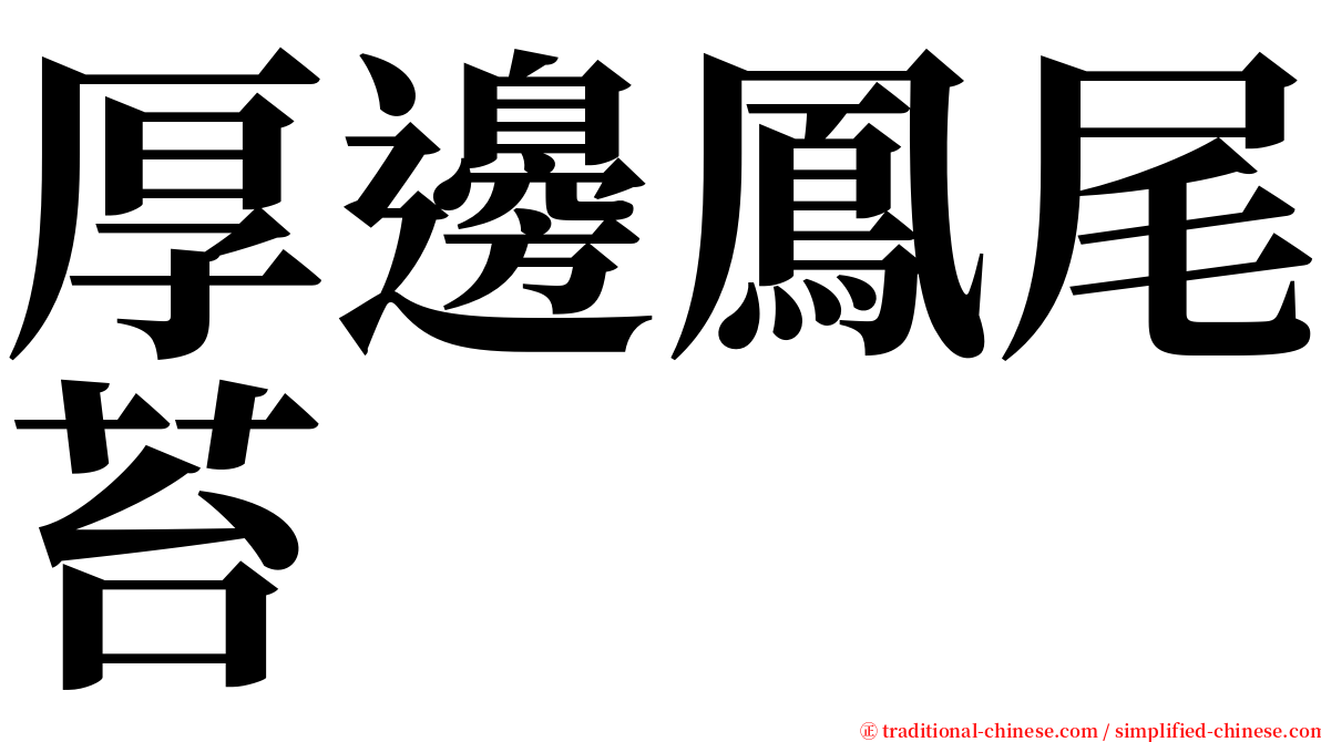 厚邊鳳尾苔 serif font