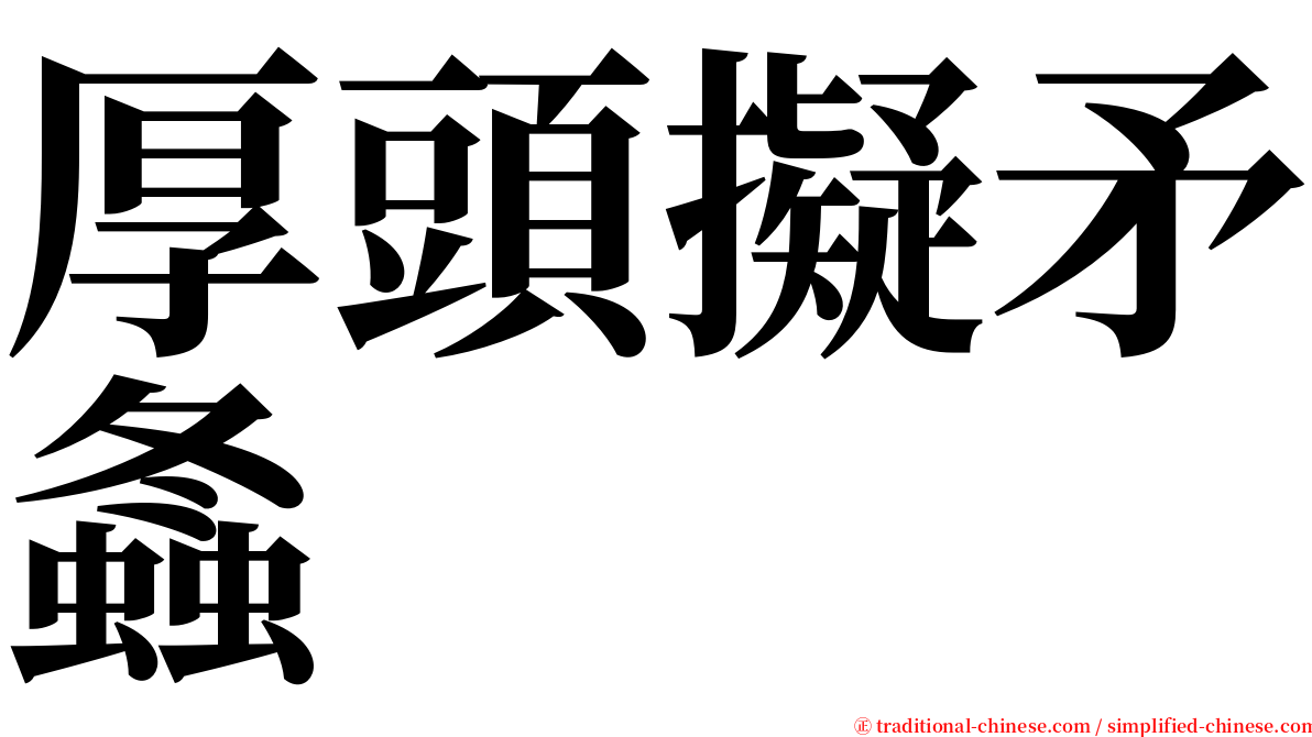 厚頭擬矛螽 serif font