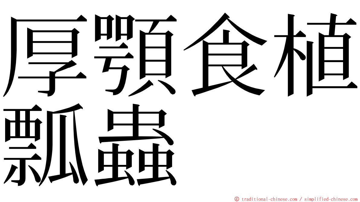 厚顎食植瓢蟲 ming font