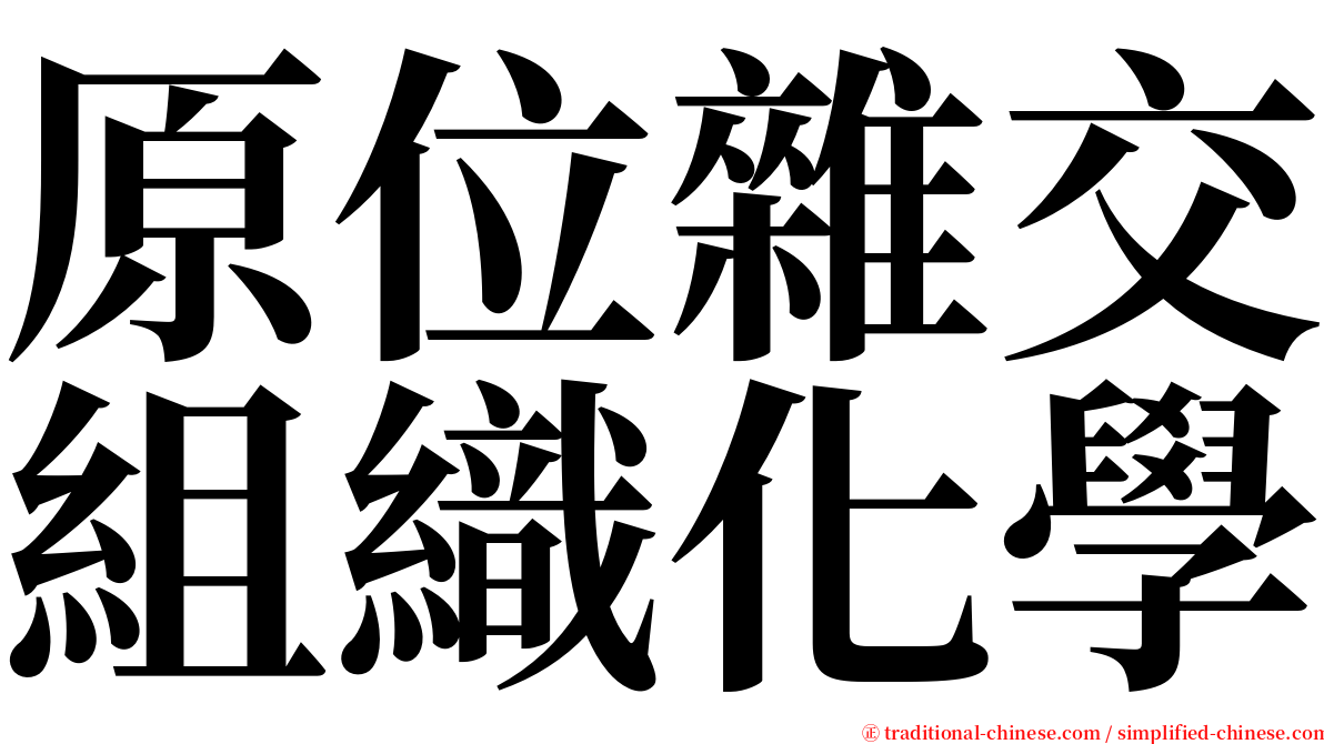 原位雜交組織化學 serif font