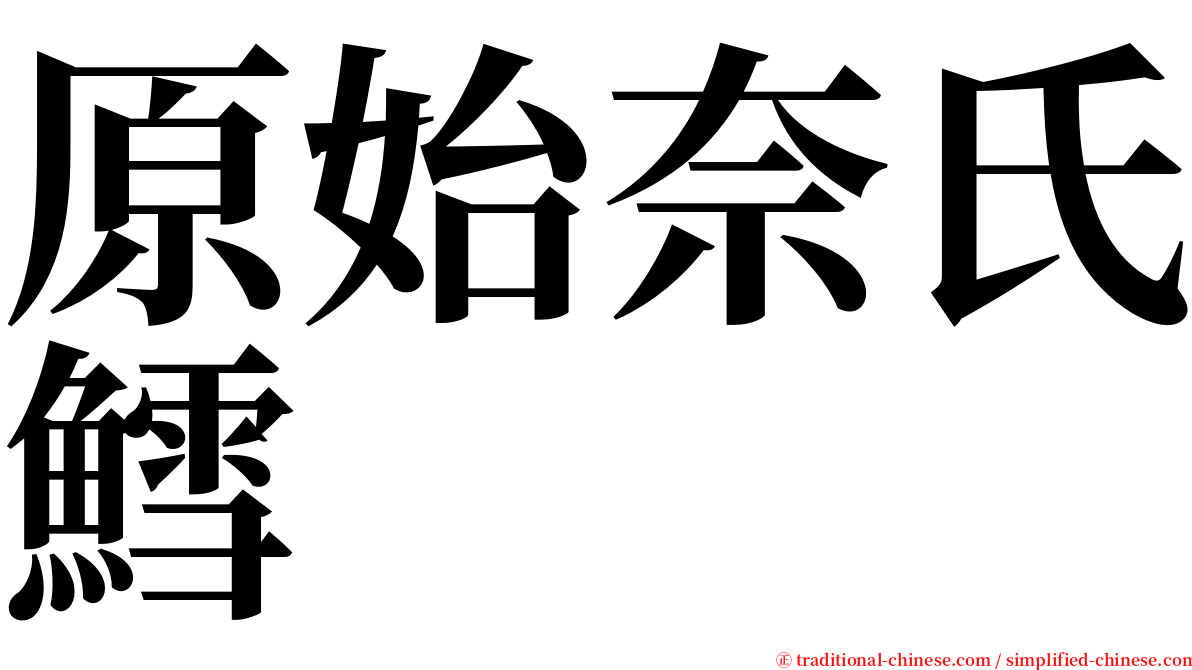 原始奈氏鱈 serif font