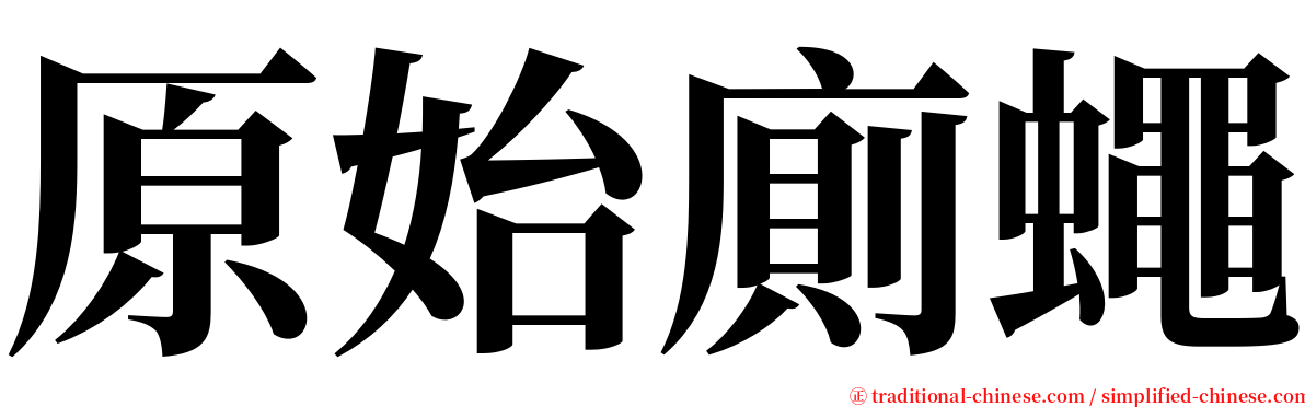 原始廁蠅 serif font