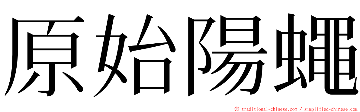 原始陽蠅 ming font