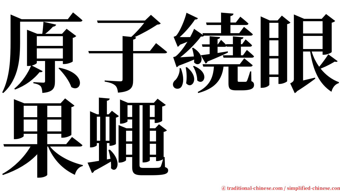 原子繞眼果蠅 serif font