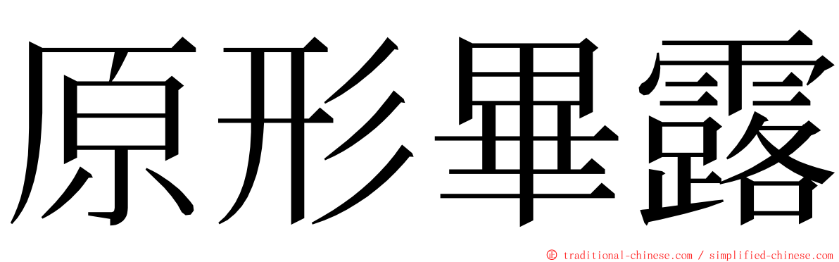 原形畢露 ming font