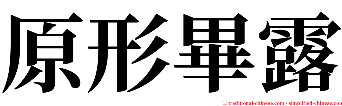 原形畢露 serif font