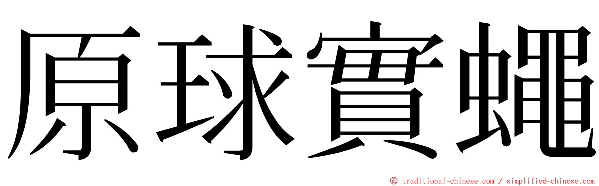 原球實蠅 ming font