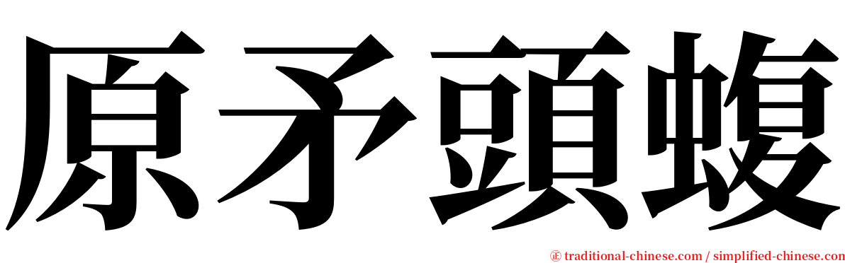 原矛頭蝮 serif font