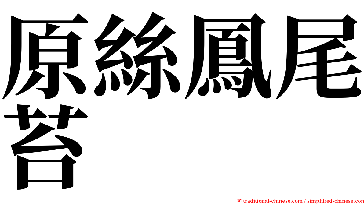 原絲鳳尾苔 serif font