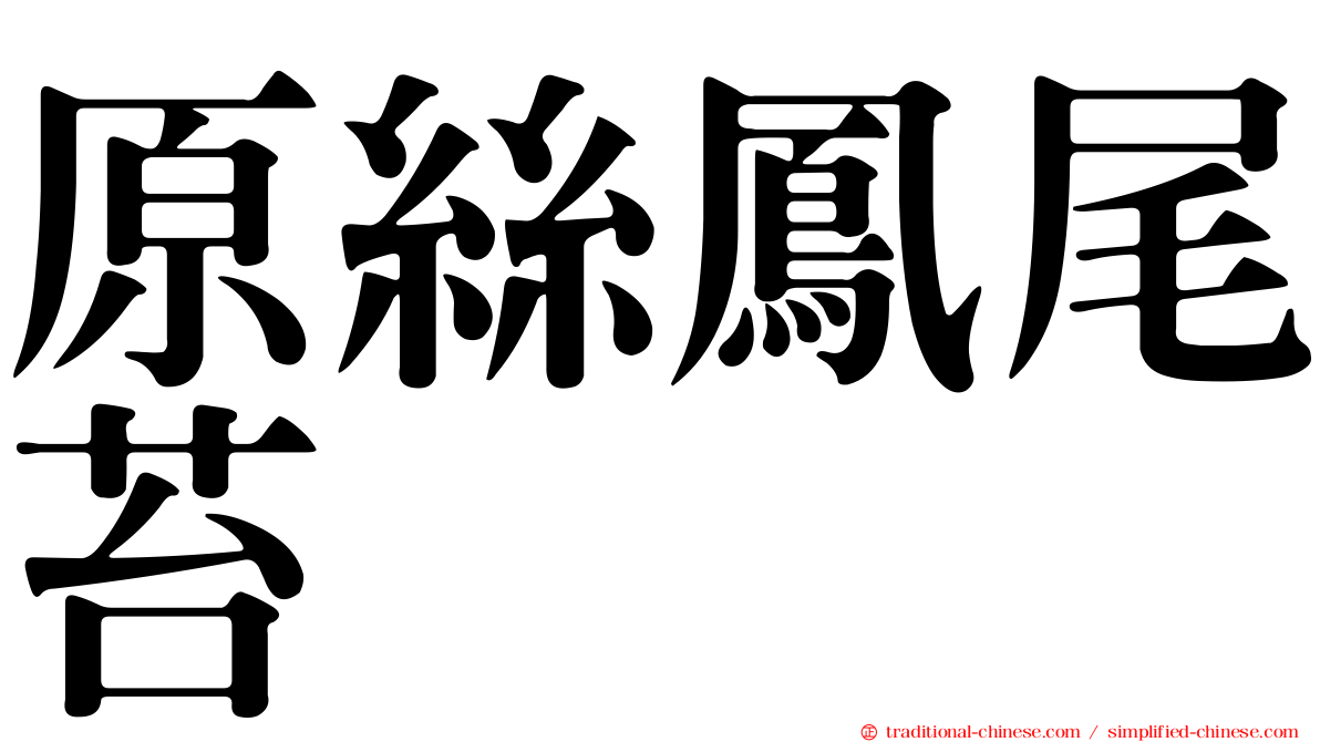 原絲鳳尾苔