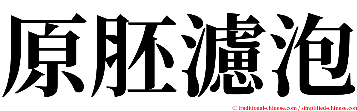 原胚濾泡 serif font