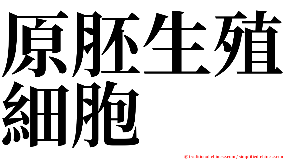 原胚生殖細胞 serif font