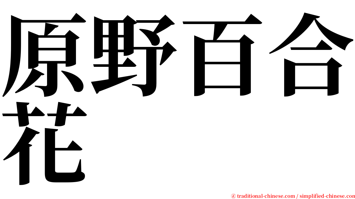 原野百合花 serif font
