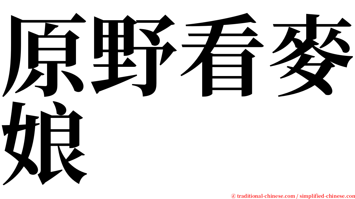 原野看麥娘 serif font