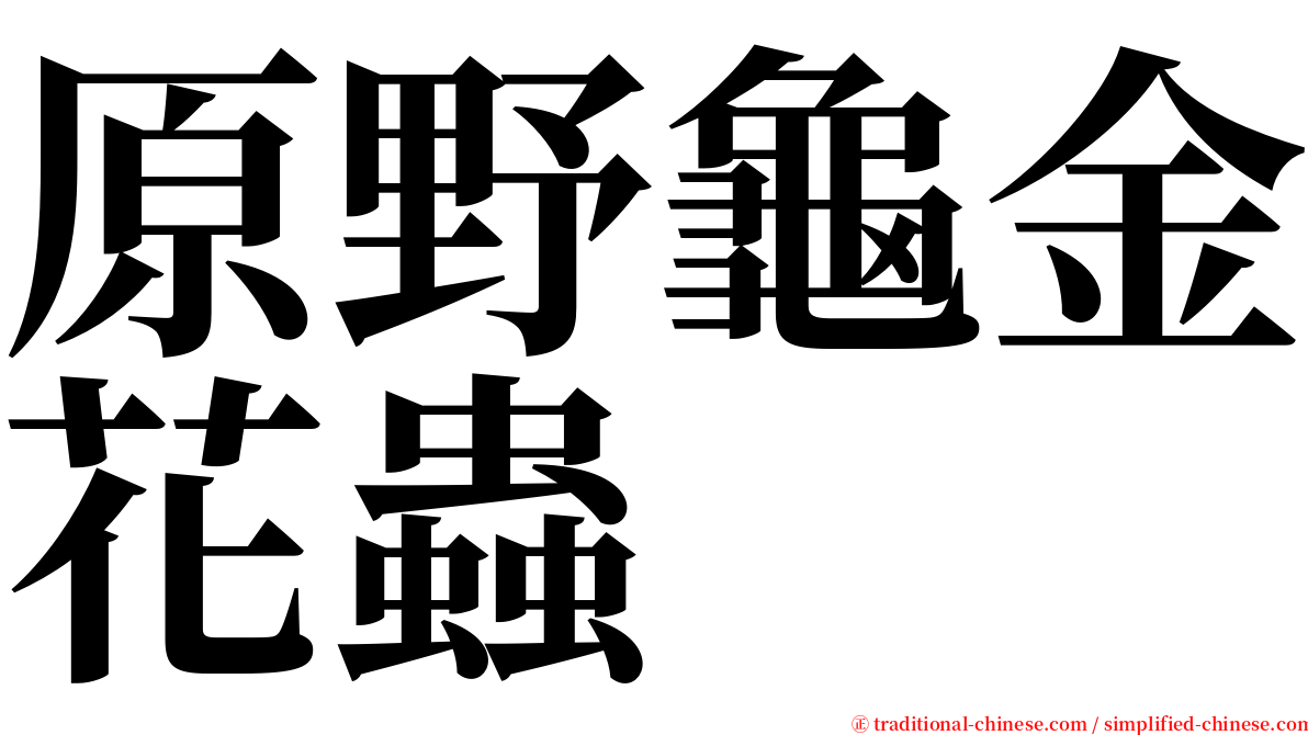 原野龜金花蟲 serif font