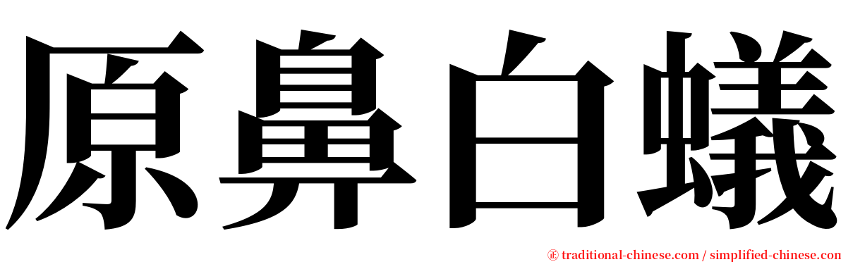 原鼻白蟻 serif font