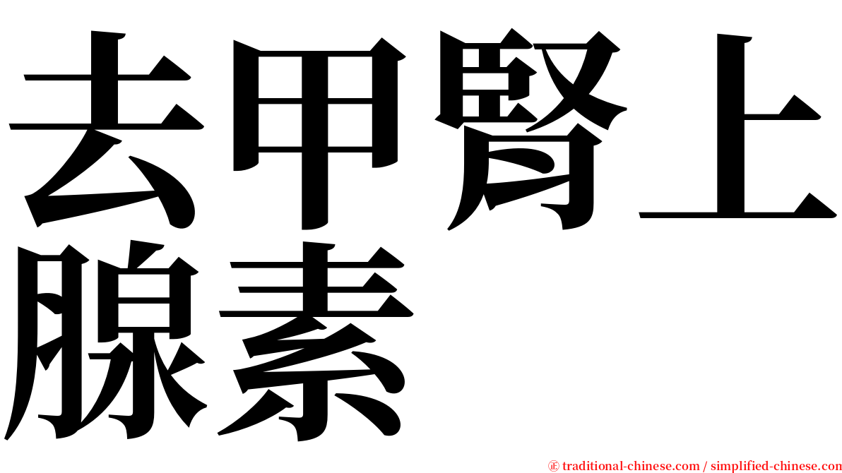 去甲腎上腺素 serif font