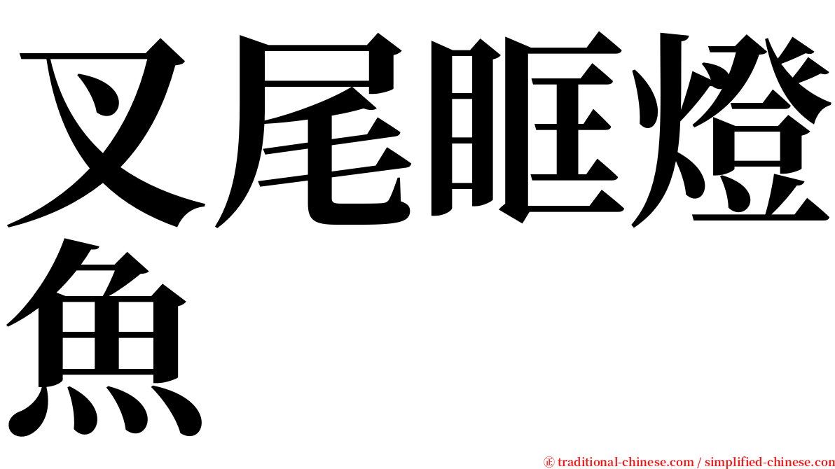 叉尾眶燈魚 serif font