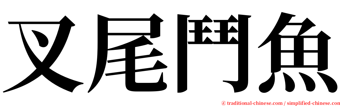 叉尾鬥魚 serif font
