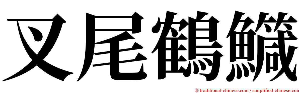 叉尾鶴鱵 serif font