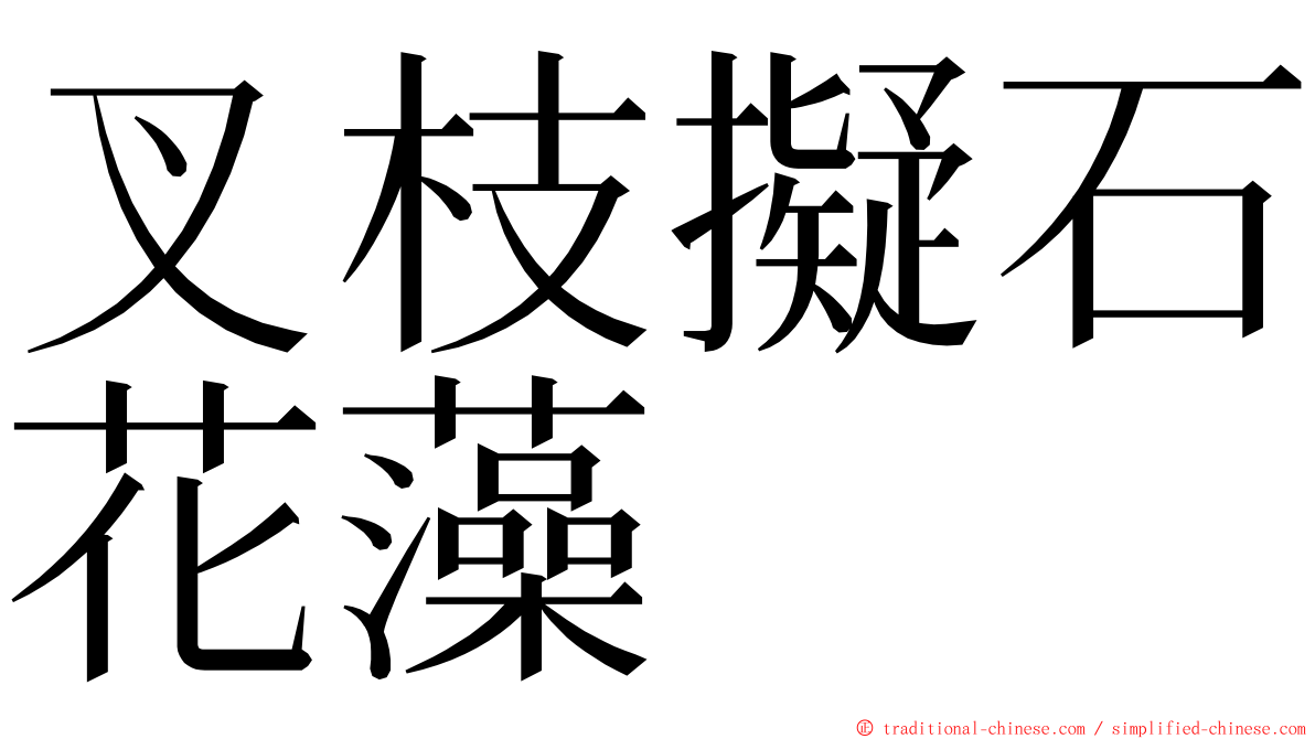 叉枝擬石花藻 ming font