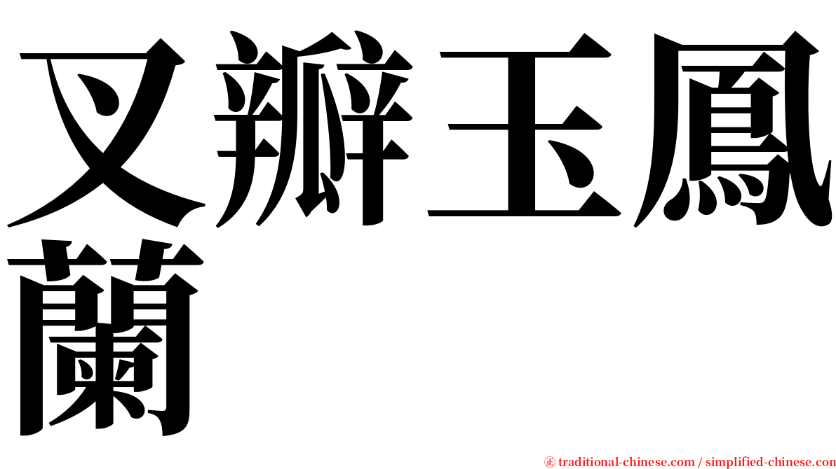 叉瓣玉鳳蘭 serif font