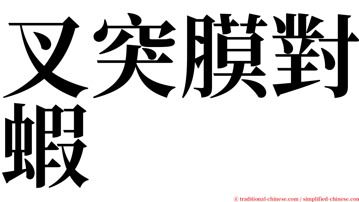 叉突膜對蝦 serif font