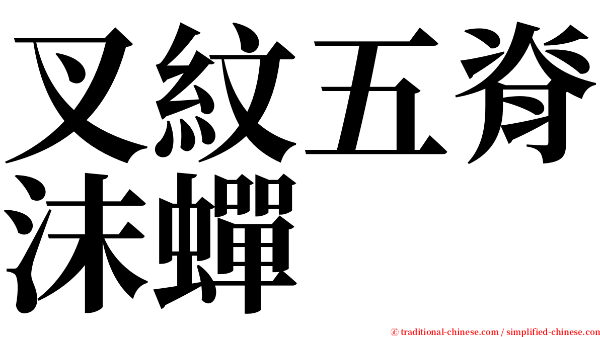 叉紋五脊沫蟬 serif font