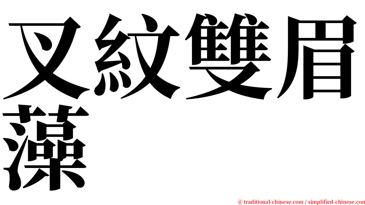 叉紋雙眉藻 serif font