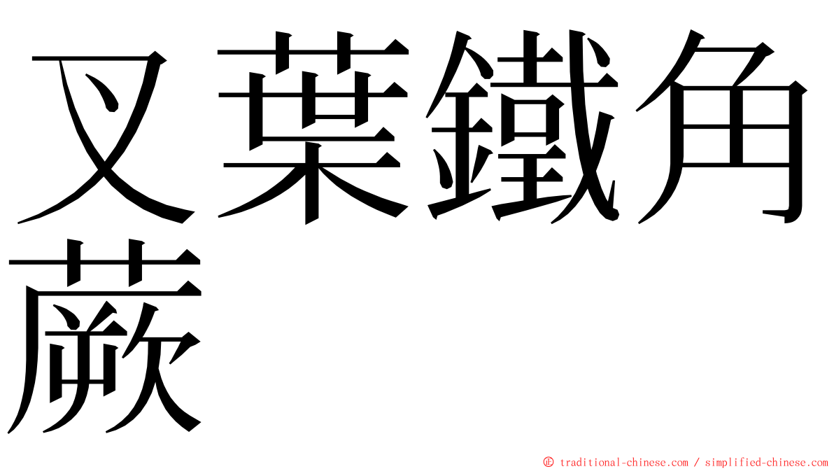 叉葉鐵角蕨 ming font