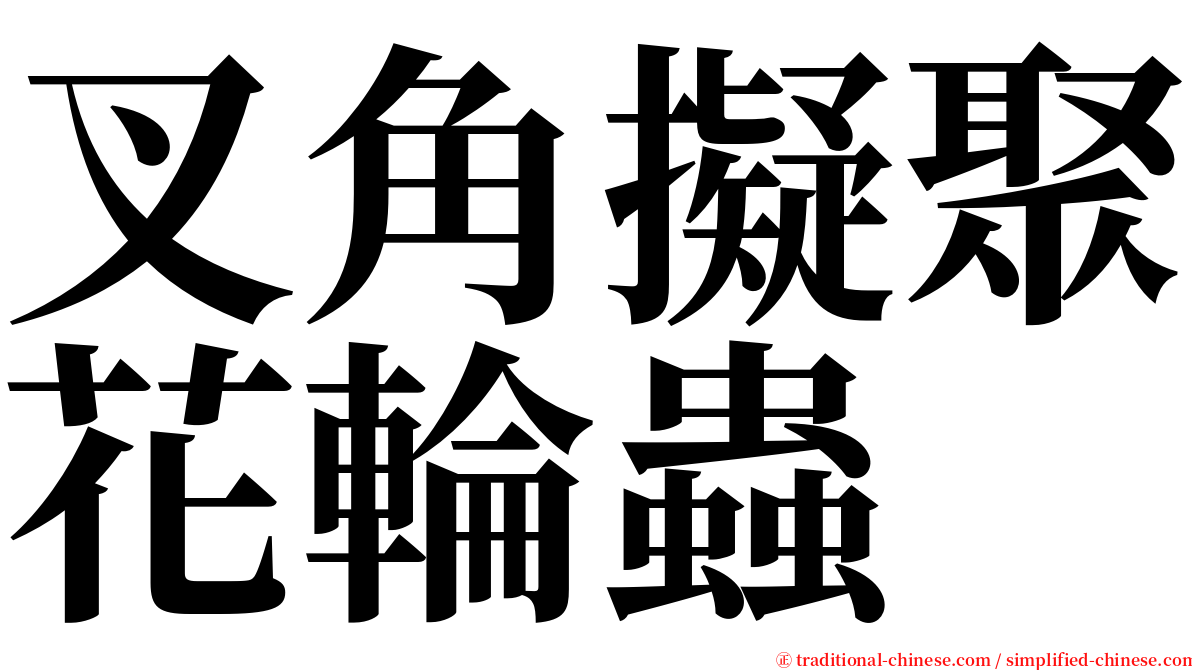 叉角擬聚花輪蟲 serif font